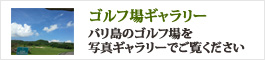 ゴルフ場ギャラリー - バリ島のゴルフ場を写真ギャラリーでご覧ください