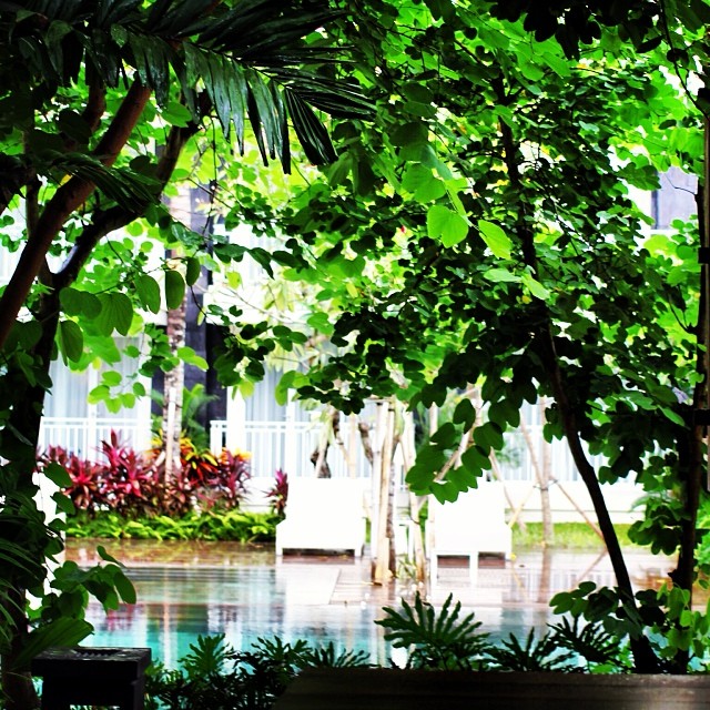 プールサイドの緑がバリ島の風を感じさせてくれる - バリ島インスタグラム